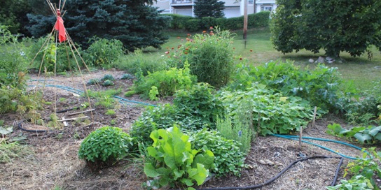 Second Unitarian Church's community garden