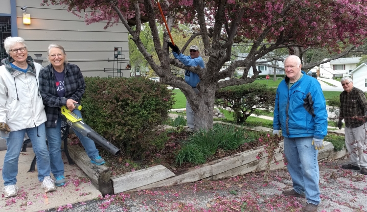 People trimming a tree and cleaning up brush.